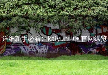 详细新手必看：kaiyun中国官网纵览