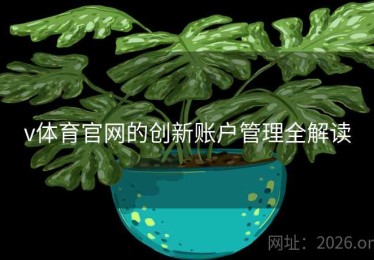 v体育官网的创新账户管理全解读