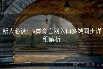 新人必读！v体育官网入口多端同步详细解析