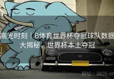 高光时刻｜B体育世界杯夺冠球队数据大揭秘，世界杯本土夺冠