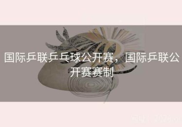 国际乒联乒乓球公开赛，国际乒联公开赛赛制