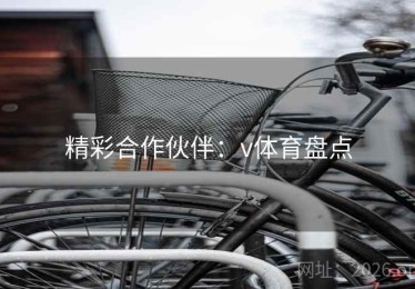 精彩合作伙伴：v体育盘点