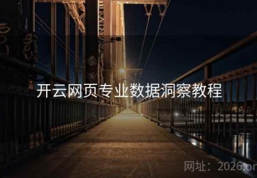 开云网页专业数据洞察教程