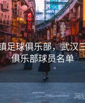 武汉三镇足球俱乐部，武汉三镇足球俱乐部球员名单
