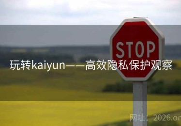 玩转kaiyun——高效隐私保护观察