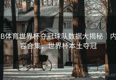 B体育世界杯夺冠球队数据大揭秘｜内容合集，世界杯本土夺冠