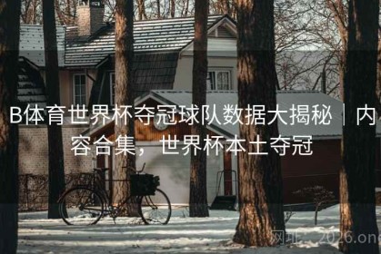 B体育世界杯夺冠球队数据大揭秘｜内容合集，世界杯本土夺冠
