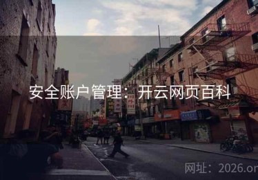 安全账户管理：开云网页百科
