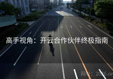 高手视角：开云合作伙伴终极指南