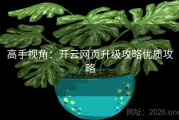 高手视角：开云网页升级攻略优质攻略