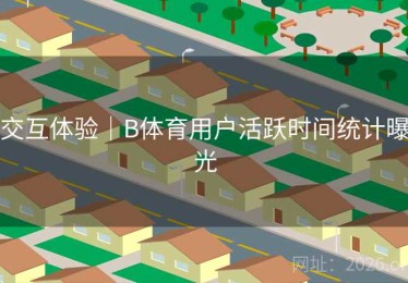 交互体验｜B体育用户活跃时间统计曝光
