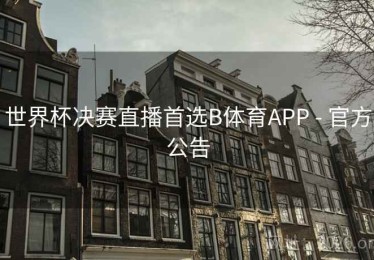 世界杯决赛直播首选B体育APP - 官方公告