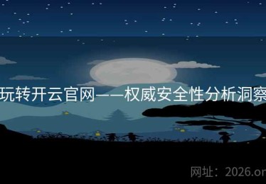 玩转开云官网——权威安全性分析洞察