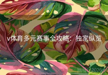 v体育多元赛事全攻略：独家纵览