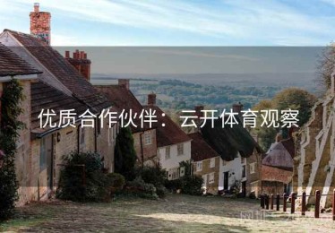 优质合作伙伴：云开体育观察
