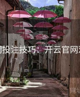 热门投注技巧：开云官网观察