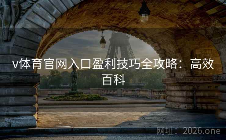 v体育官网入口盈利技巧全攻略：高效百科