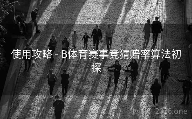 使用攻略 - B体育赛事竞猜赔率算法初探