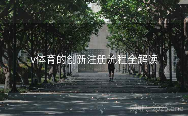 v体育的创新注册流程全解读
