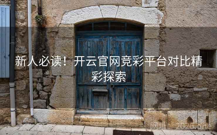 新人必读！开云官网竞彩平台对比精彩探索