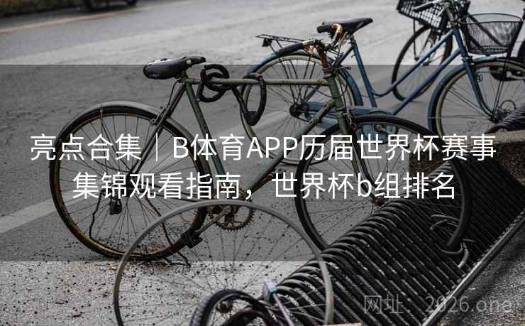 亮点合集｜B体育APP历届世界杯赛事集锦观看指南，世界杯b组排名