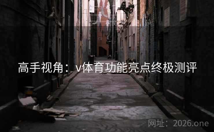 高手视角：v体育功能亮点终极测评