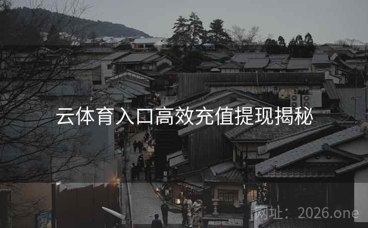 云体育入口高效充值提现揭秘