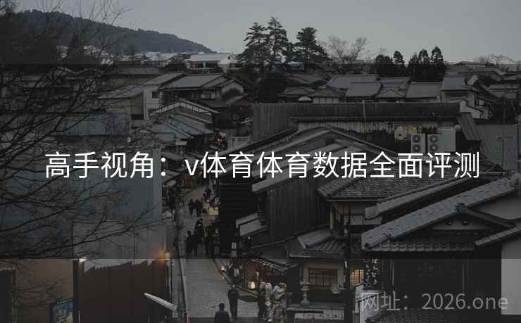 高手视角：v体育体育数据全面评测
