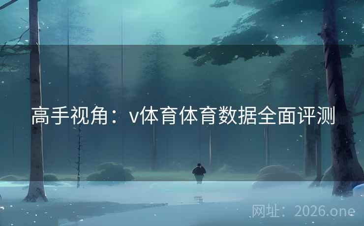 高手视角：v体育体育数据全面评测