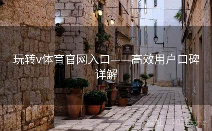 玩转v体育官网入口——高效用户口碑详解