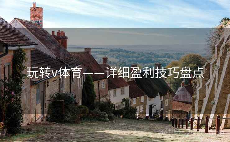 玩转v体育——详细盈利技巧盘点