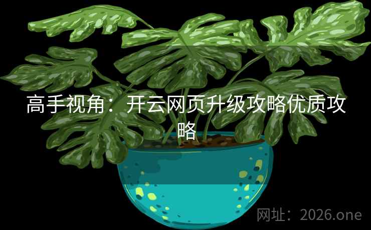高手视角：开云网页升级攻略优质攻略
