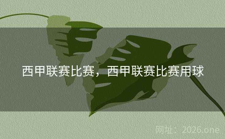 西甲联赛比赛，西甲联赛比赛用球