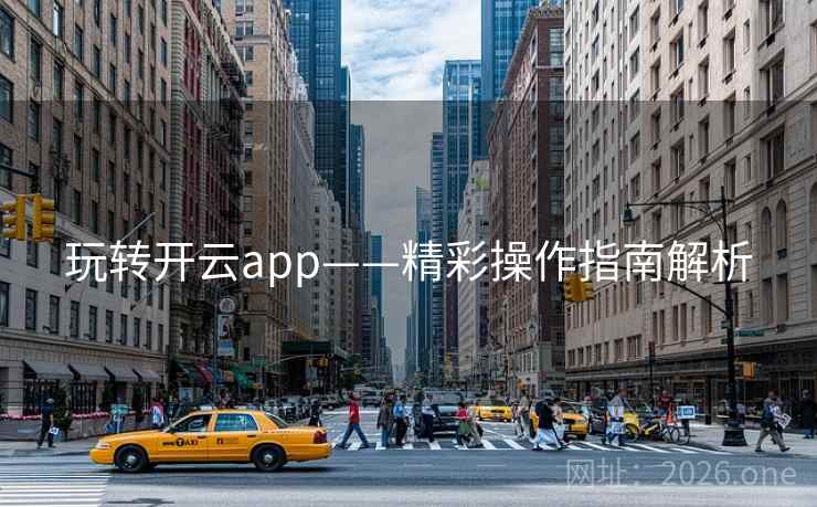 玩转开云app——精彩操作指南解析
