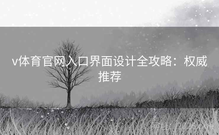 v体育官网入口界面设计全攻略：权威推荐
