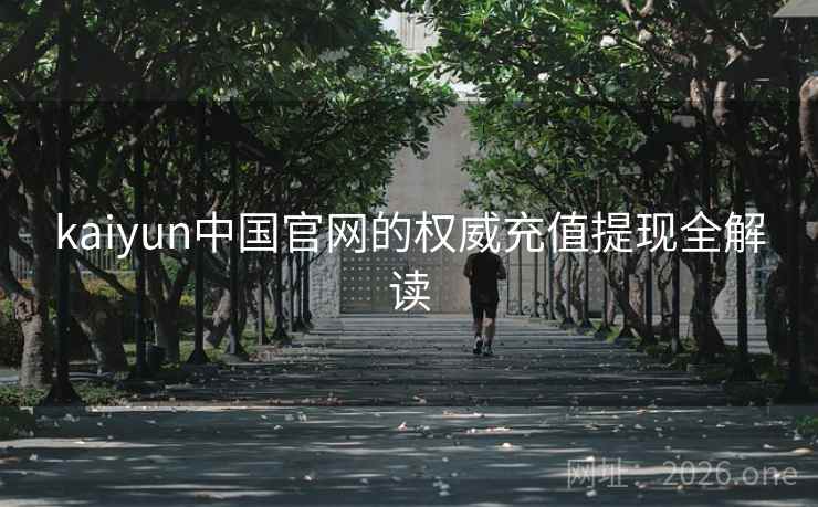 kaiyun中国官网的权威充值提现全解读