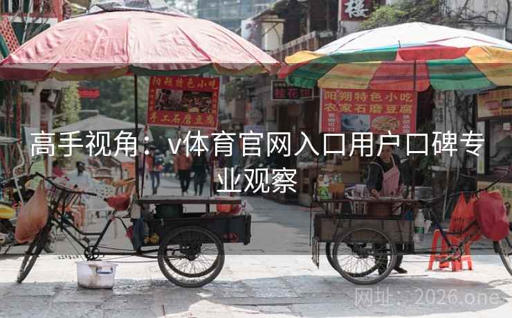 高手视角：v体育官网入口用户口碑专业观察