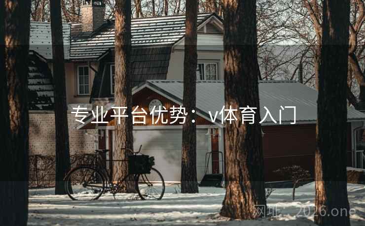 专业平台优势：v体育入门