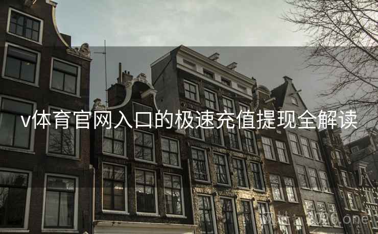 v体育官网入口的极速充值提现全解读
