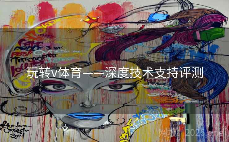 玩转v体育——深度技术支持评测
