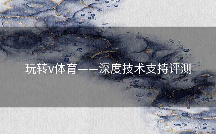 玩转v体育——深度技术支持评测