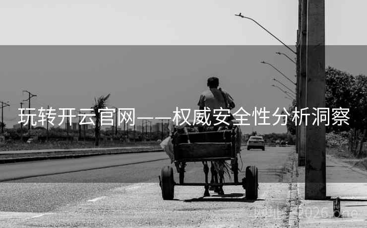 玩转开云官网——权威安全性分析洞察