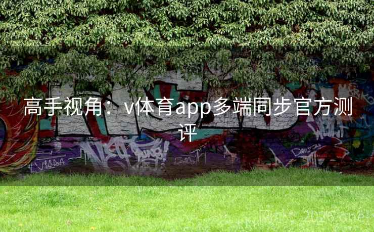 高手视角:v体育app多端同步官方测评 高手视角:v体育app多端同步官方测评