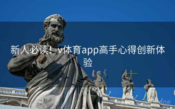 新人必读！v体育app高手心得创新体验