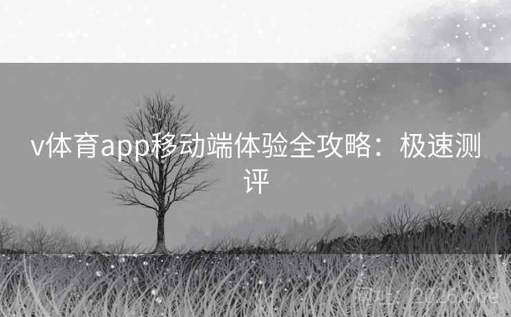 v体育app移动端体验全攻略：极速测评