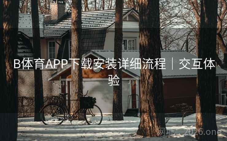 B体育APP下载安装详细流程|交互体验 B体育APP下载安装详细流程|交互体验