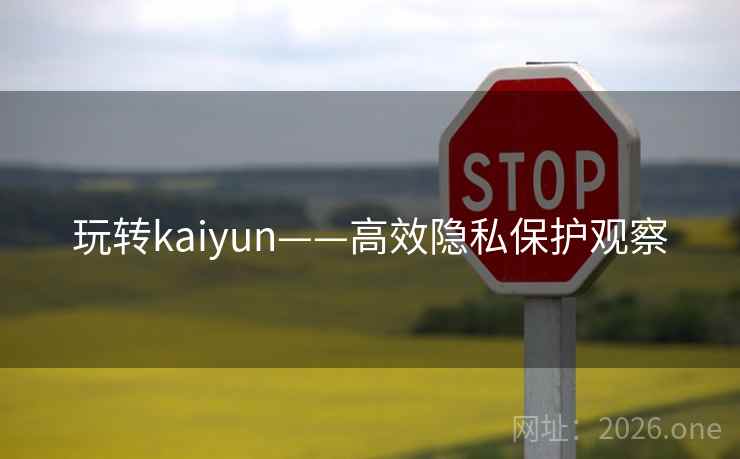 玩转kaiyun——高效隐私保护观察