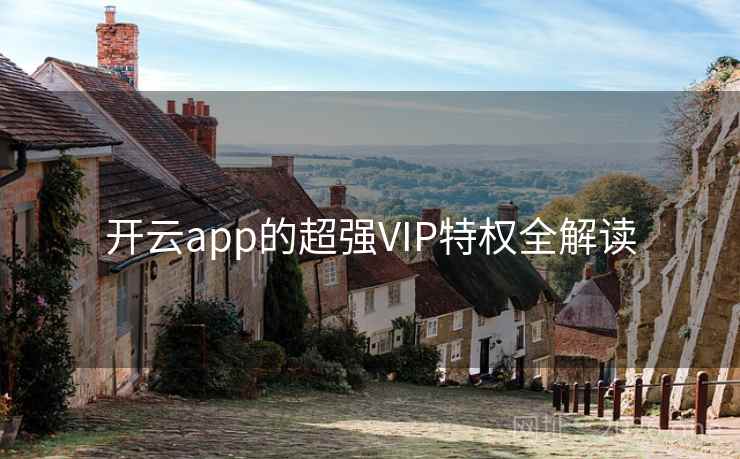 开云app的超强VIP特权全解读 开云app的超强VIP特权全解读