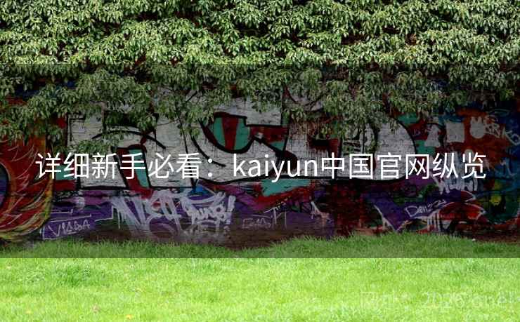 详细新手必看:kaiyun中国官网纵览 详细新手必看:kaiyun中国官网纵览