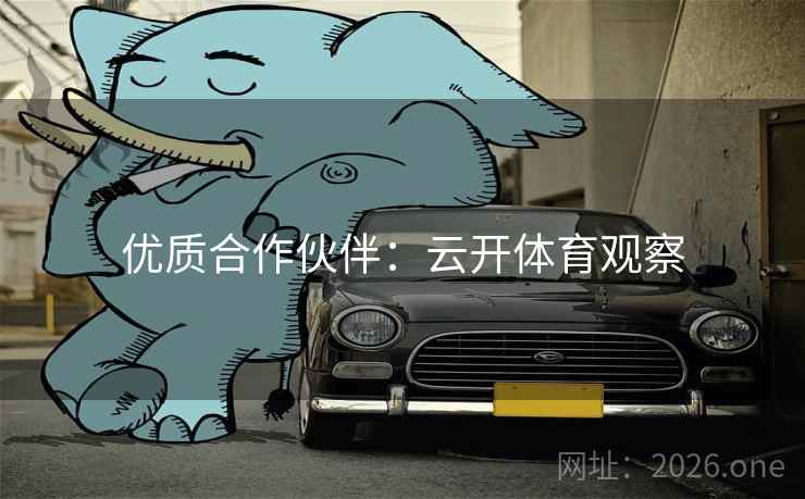 优质合作伙伴：云开体育观察
